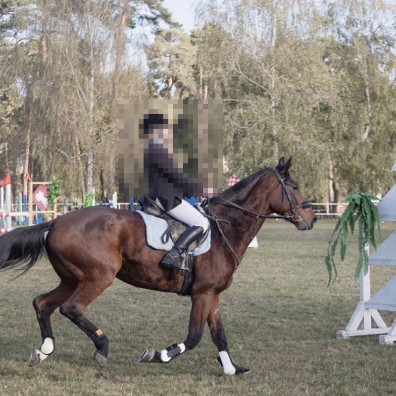 给力！市财政请孩子们免费骑马！武汉22所小学马